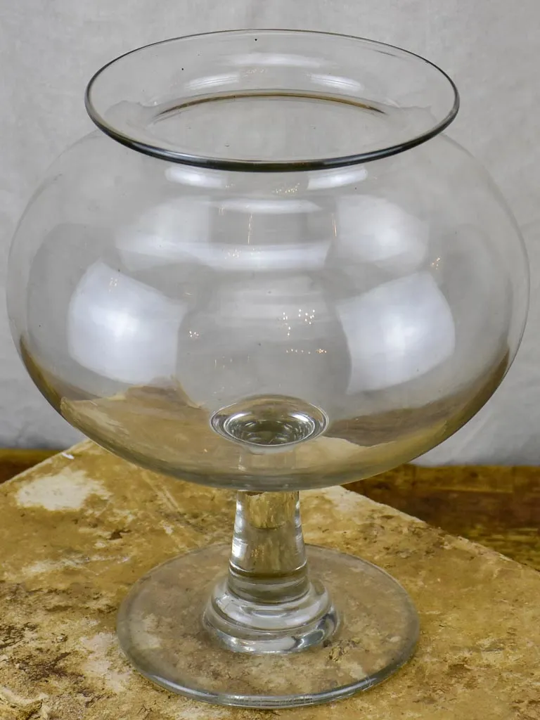 Large antique French sangsue apothecary jar
